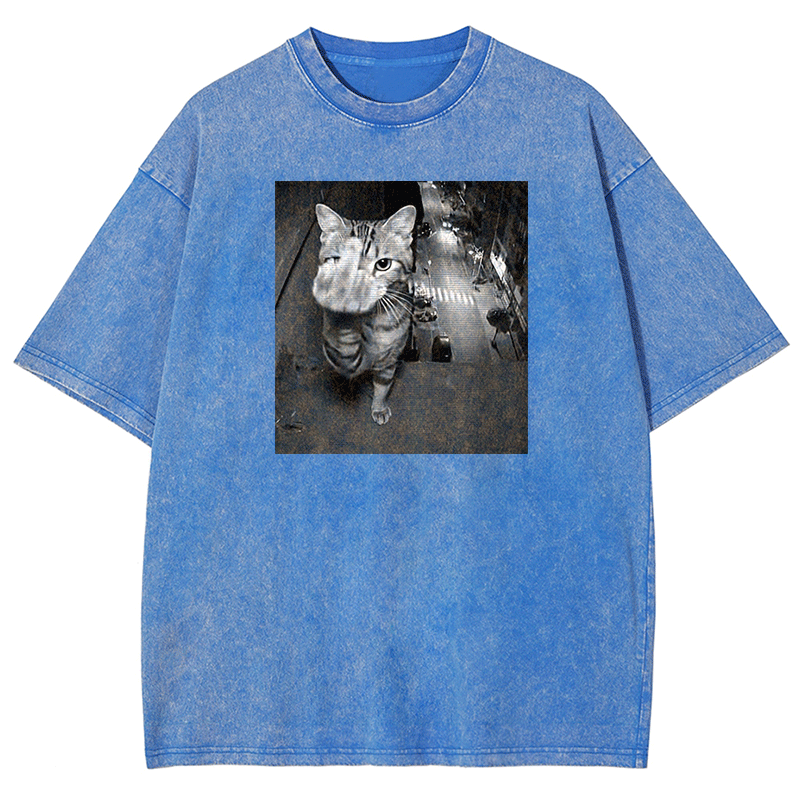 Surveillance Kitty Washed T-shirt