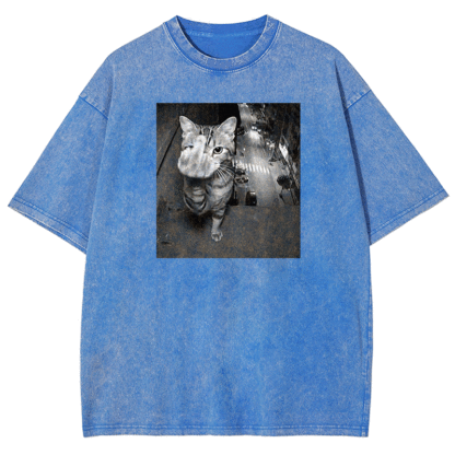Surveillance Kitty Washed T-shirt