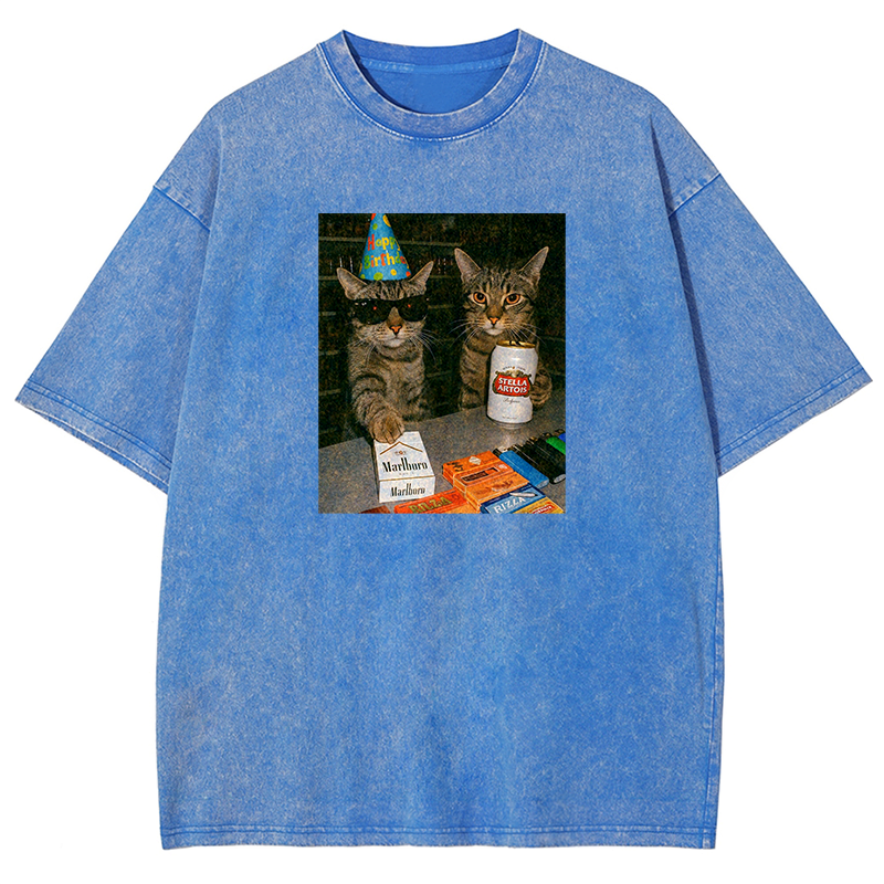 Birthday Buddies Washed T-shirt