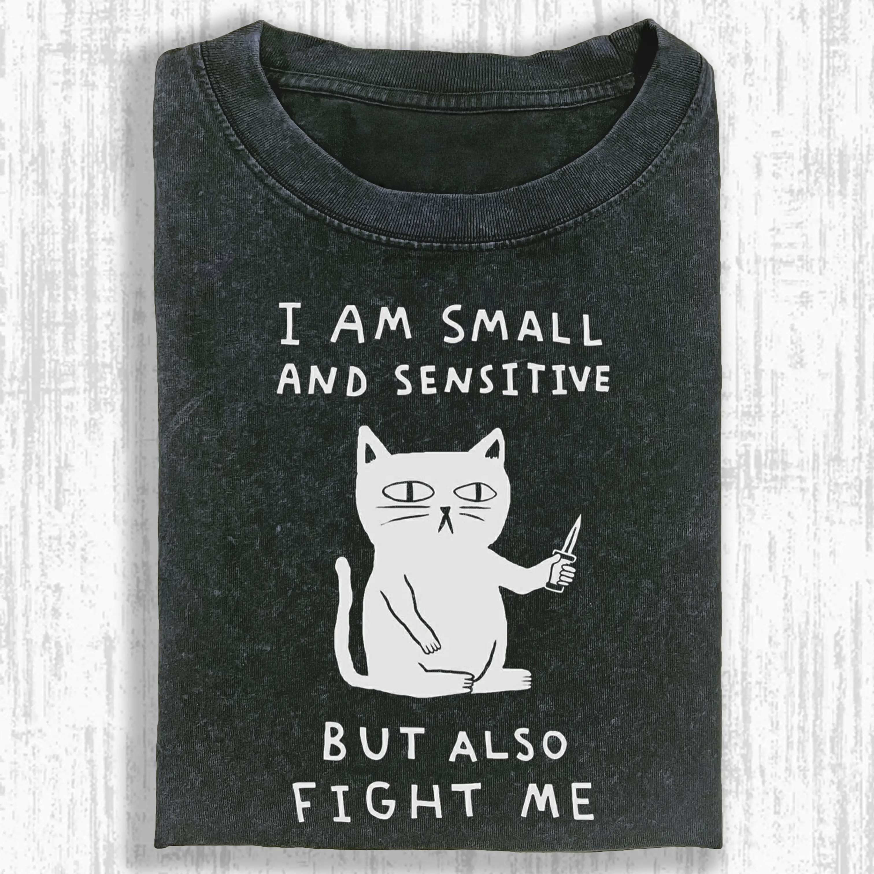I AM SMALL AND SENSITIVE Washed T-shirt