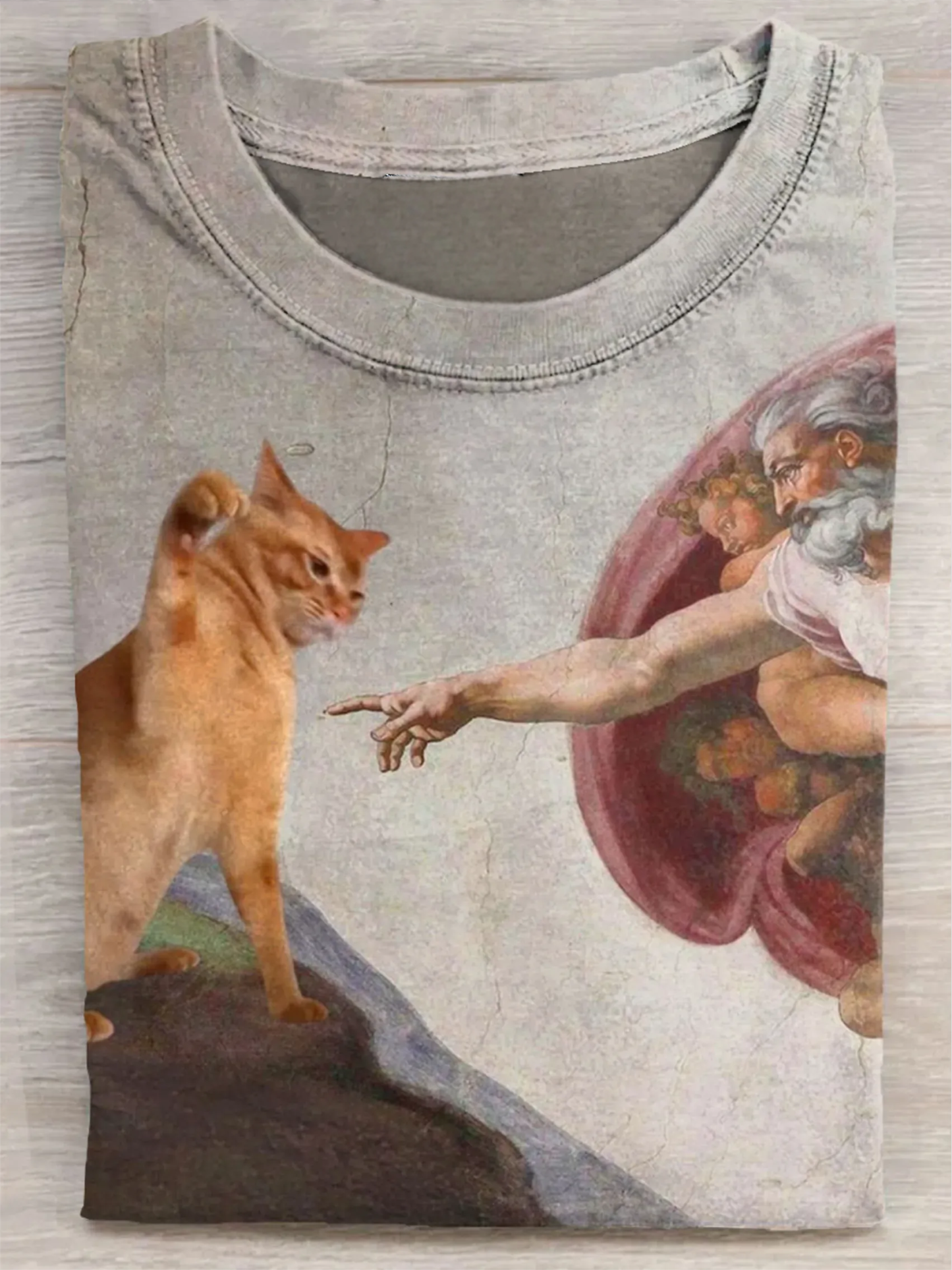 BONJOUR CATS Washed T-shirt