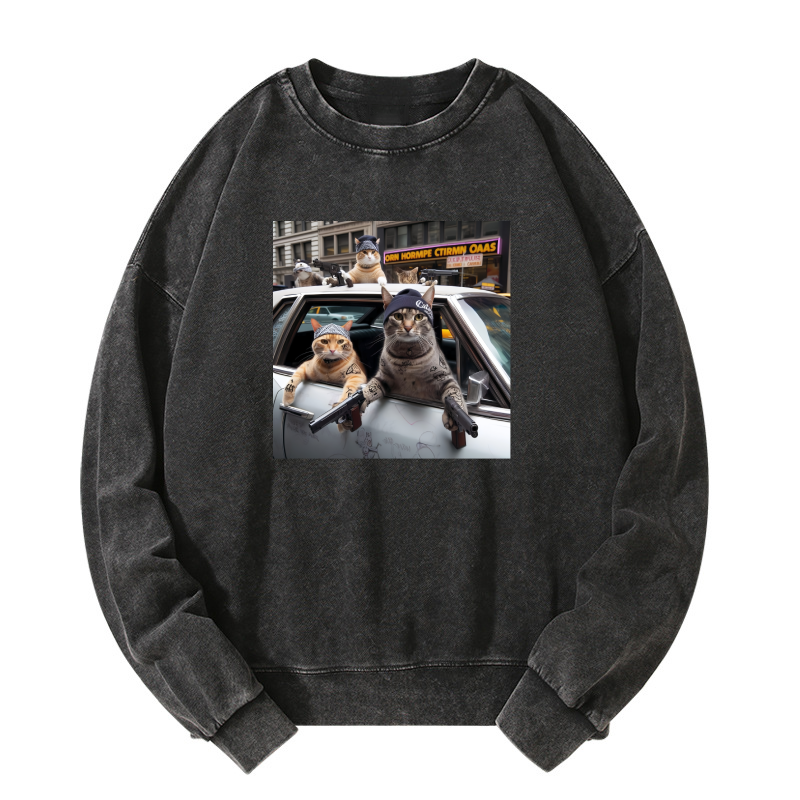 Outlaw Cat Washed Sweatshirt