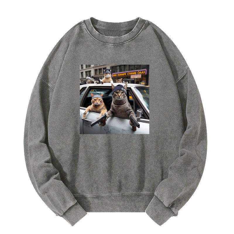 Outlaw Cat Washed Sweatshirt