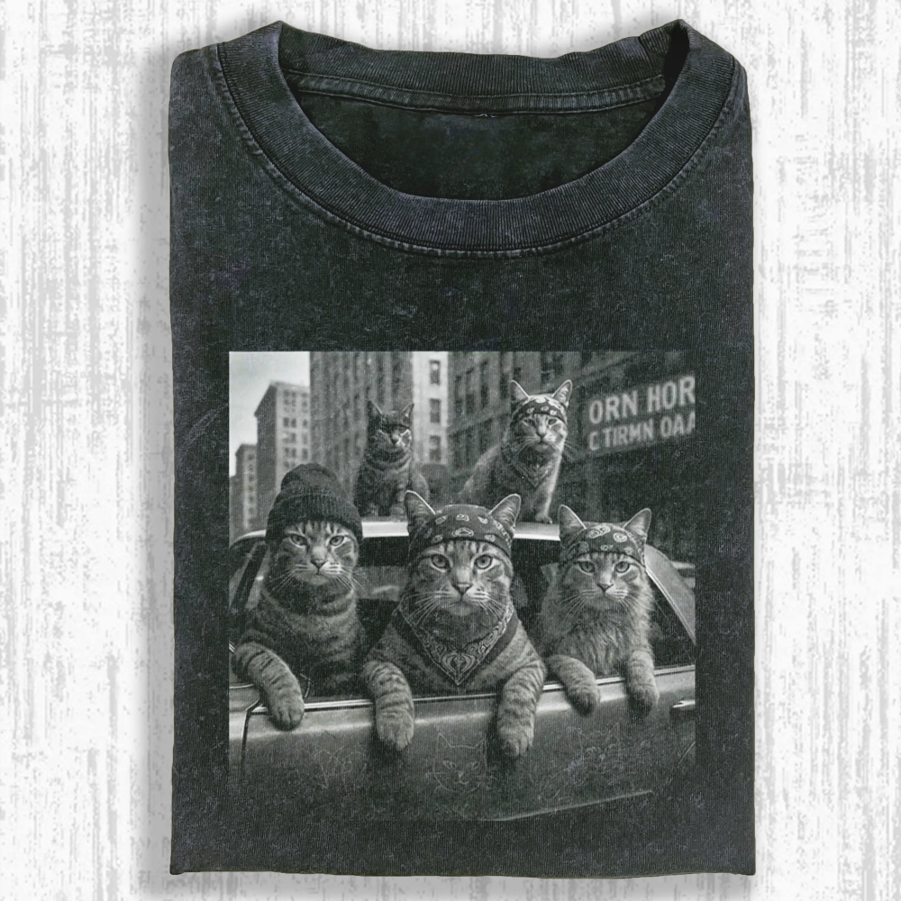 Outlaw Washed T-shirt