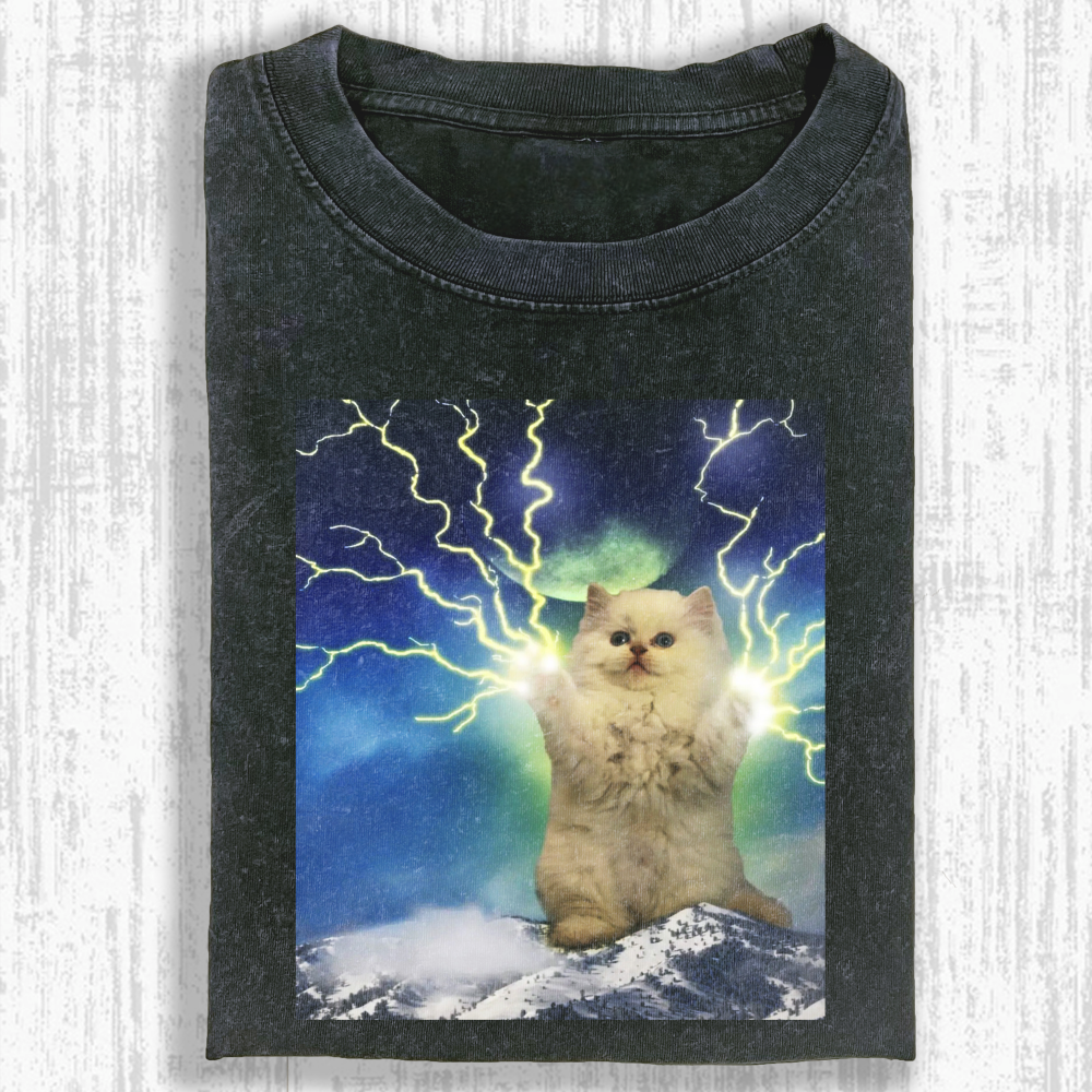 Wacky Cat Washed T-shirt