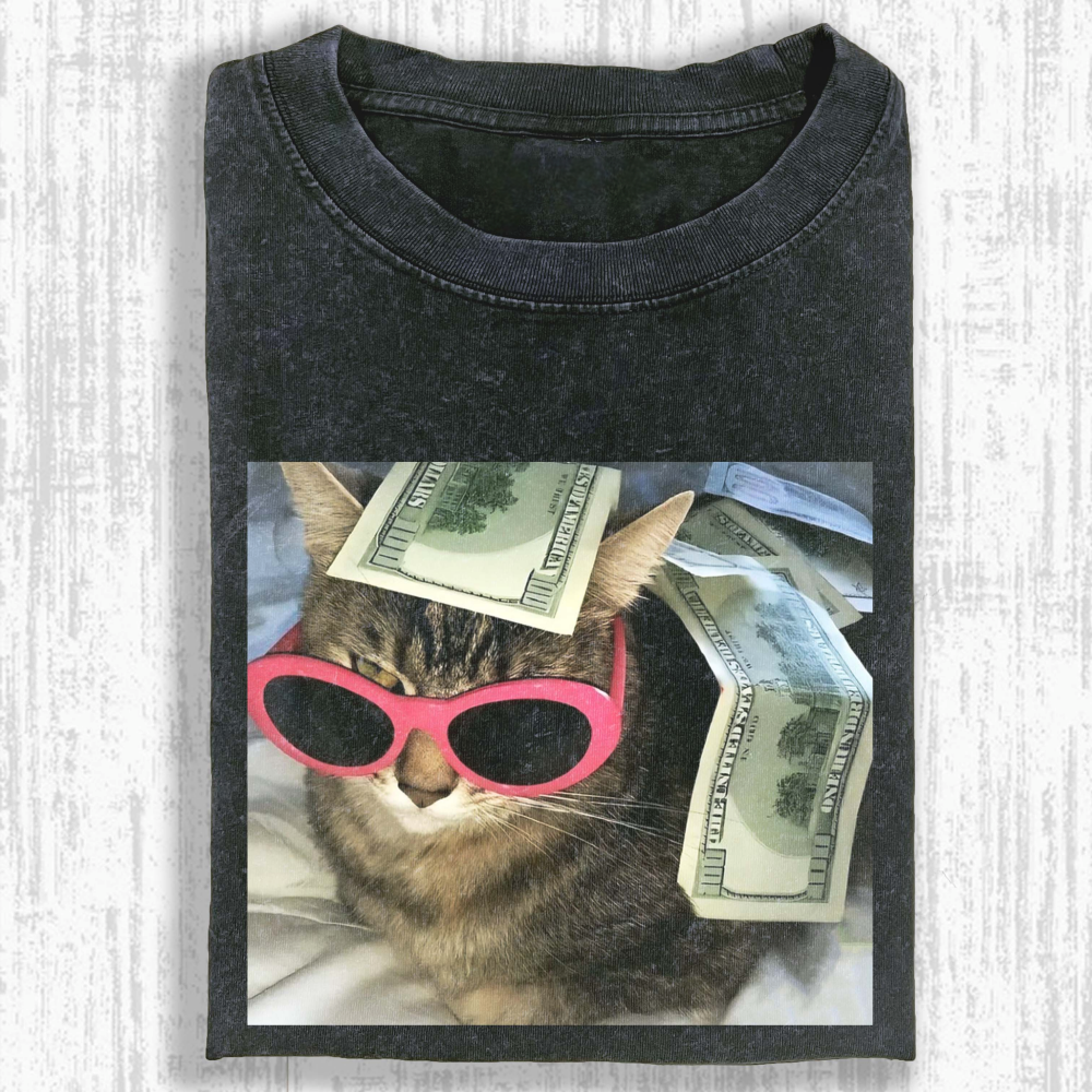 Rich cat Washed T-shirt