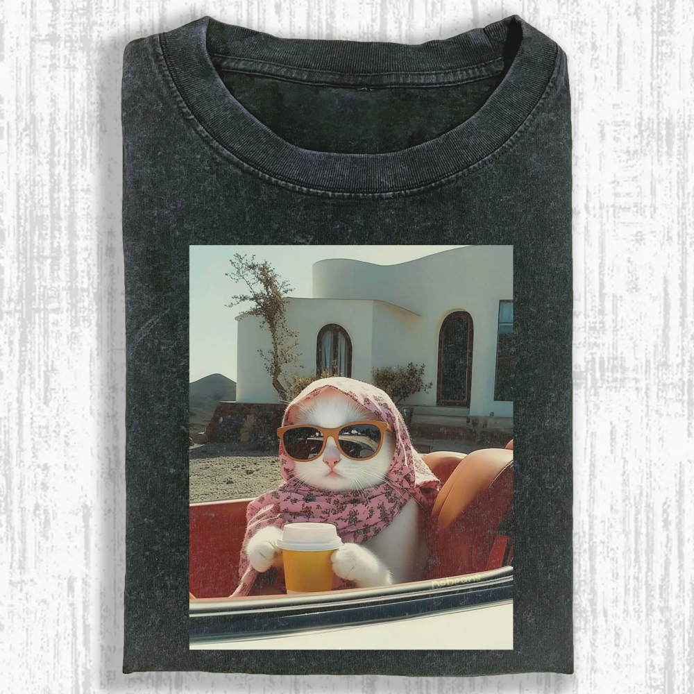 Rich cat Washed T-shirt