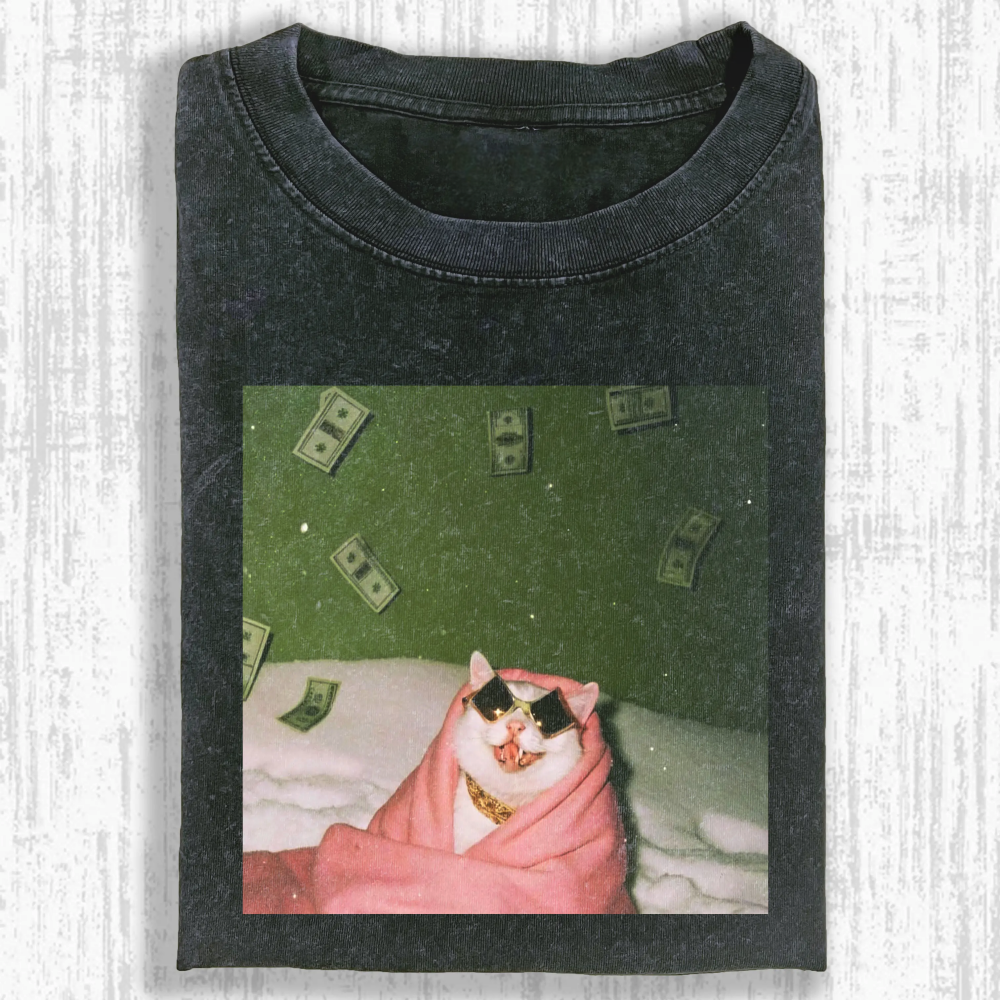 Rich cat Washed T-shirt