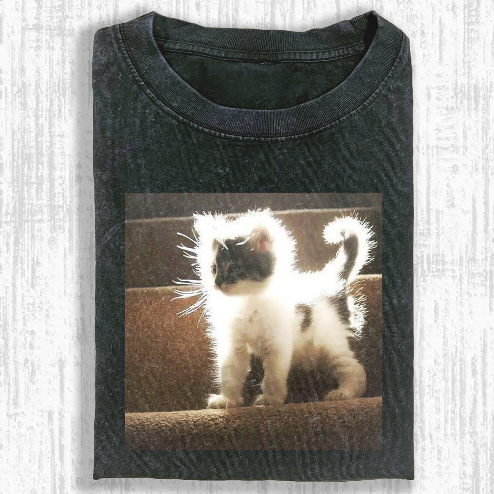 Wacky Cat Washed T-shirt