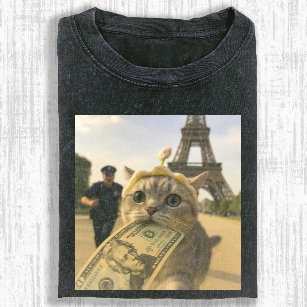 Rich cat  Washed T-shirt