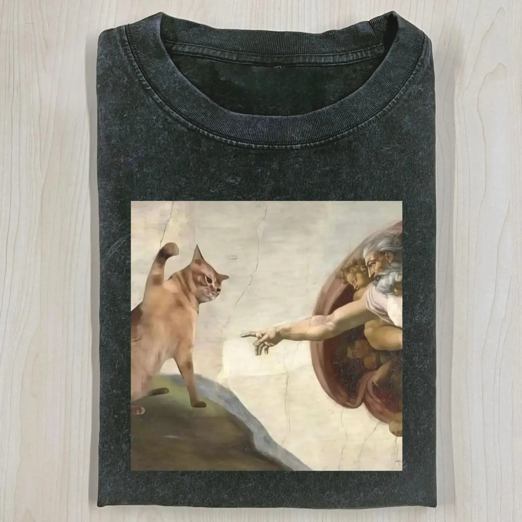 The Creation of Cat Washed T-shirt