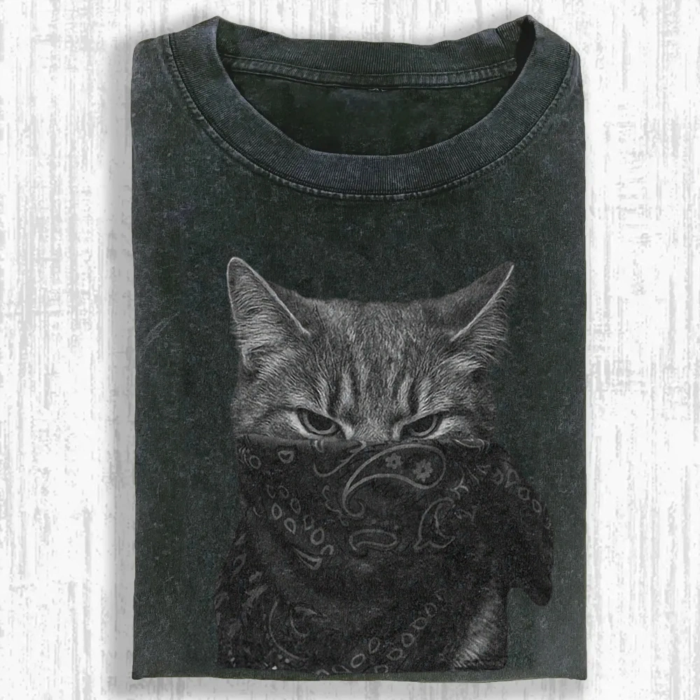 Mystic Feline Veil Washed T-shirt