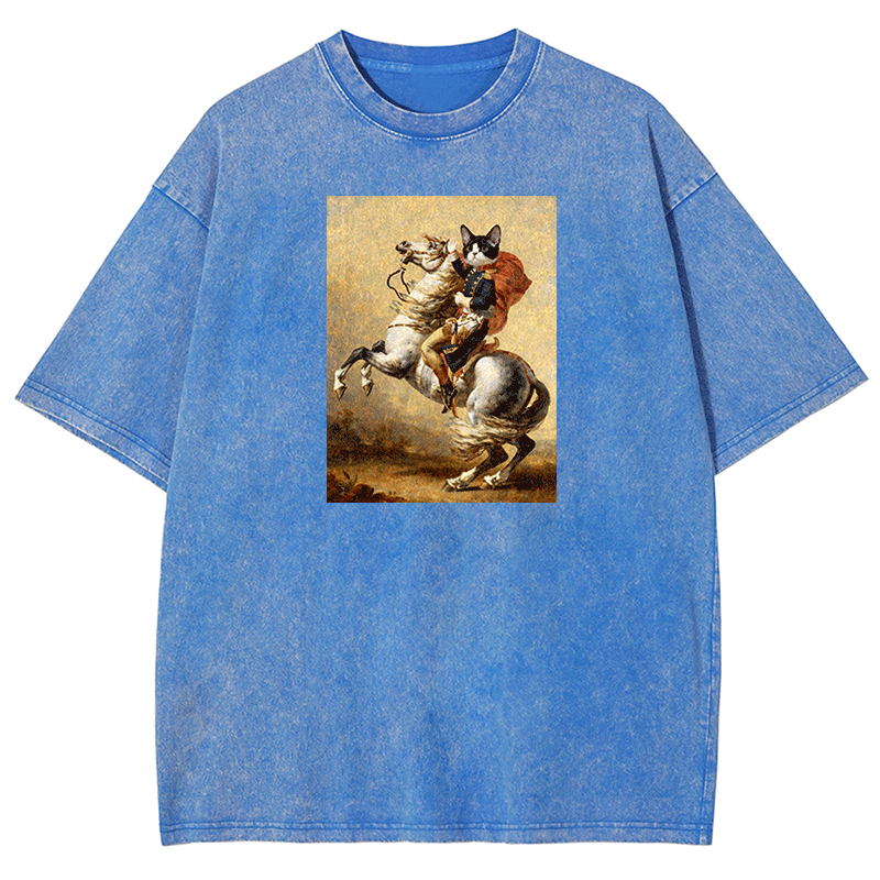 Napoleon Meow Washed T-shirt