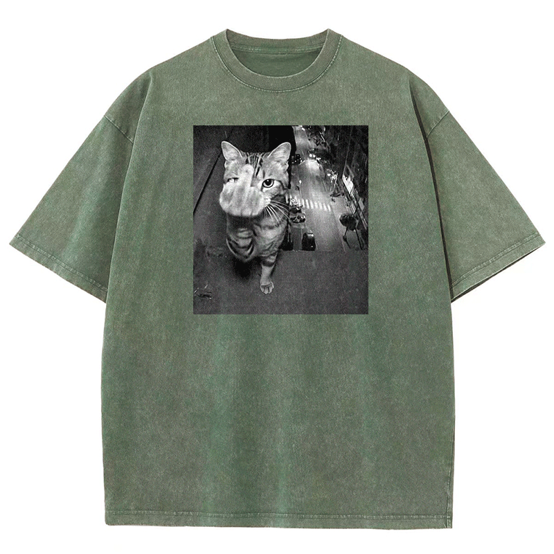 Surveillance Kitty Washed T-shirt