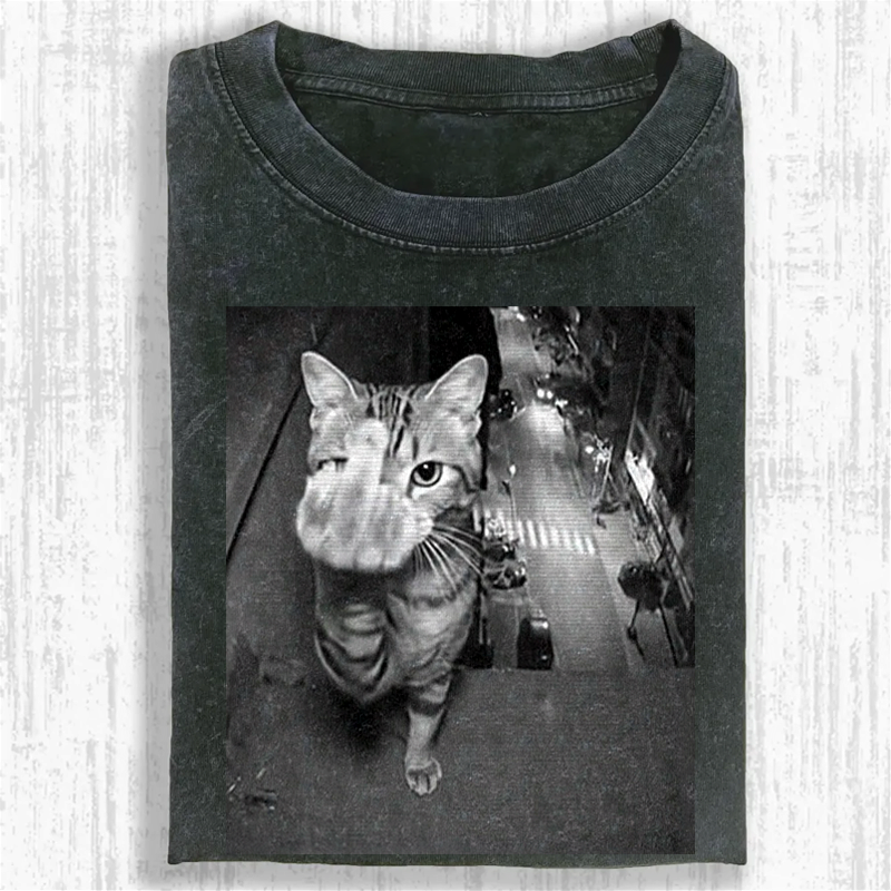 Surveillance Kitty Washed T-shirt