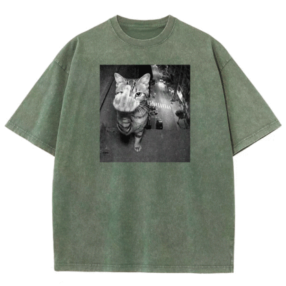 Surveillance Kitty Washed T-shirt