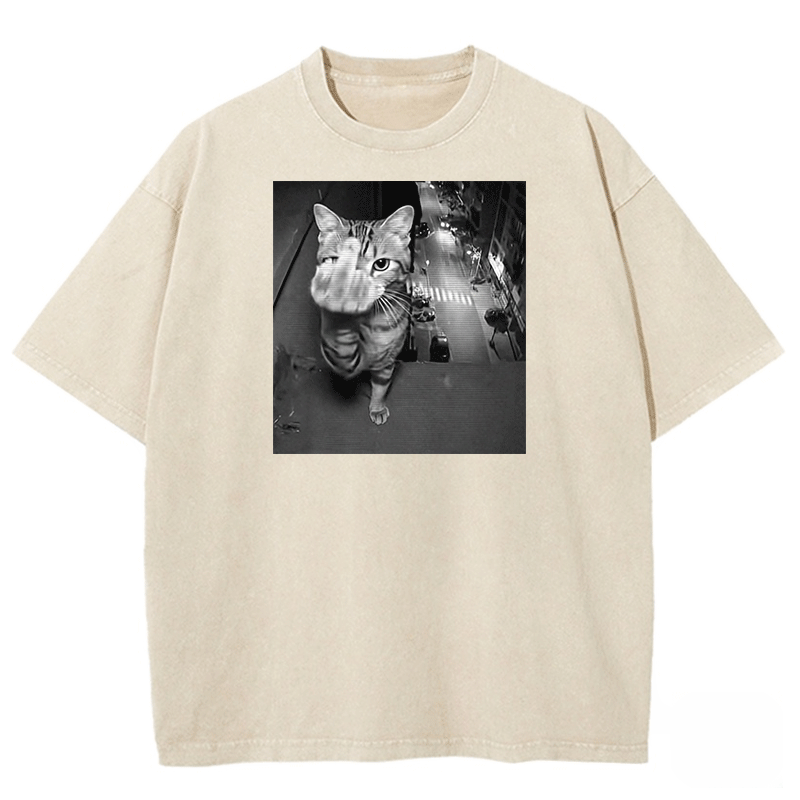 Surveillance Kitty Washed T-shirt