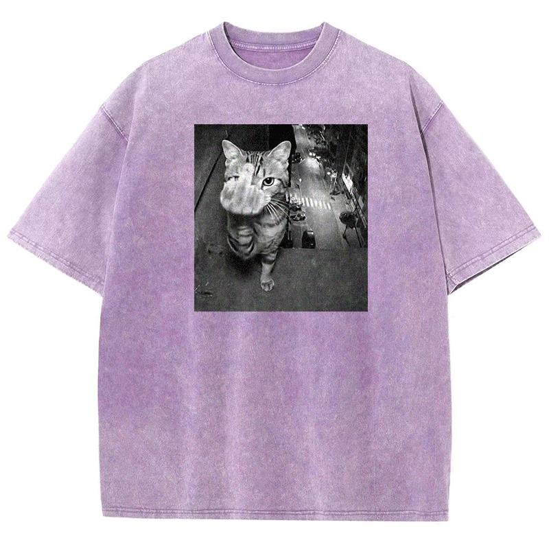 Surveillance Kitty Washed T-shirt