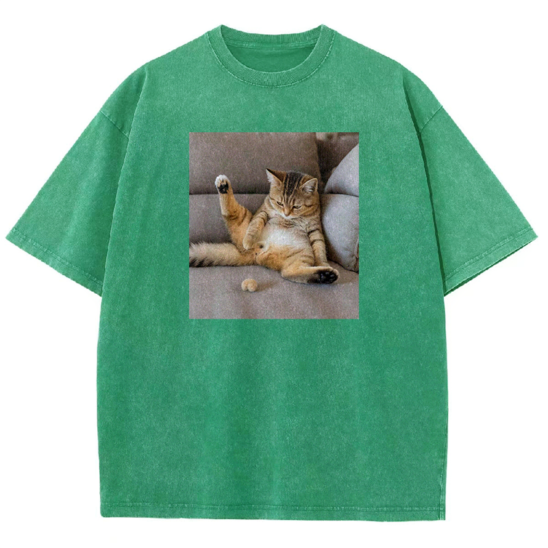 The Lost Testicles Washed T-shirt