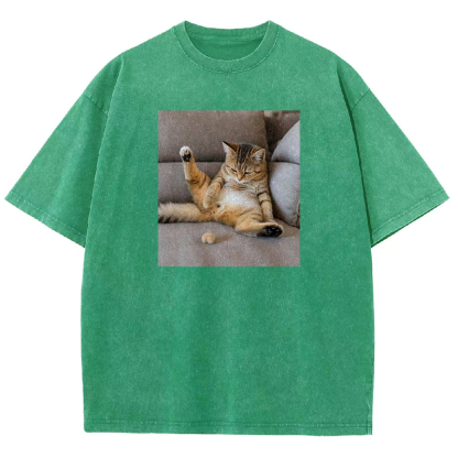 The Lost Testicles Washed T-shirt