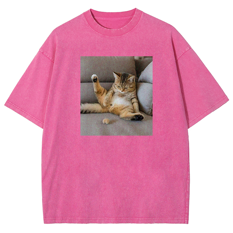 The Lost Testicles Washed T-shirt