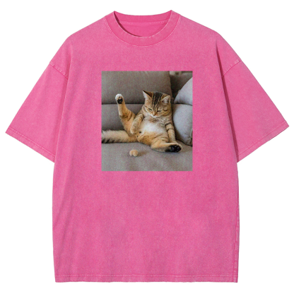 The Lost Testicles Washed T-shirt