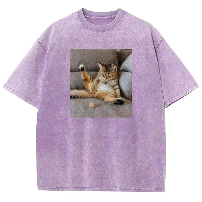 The Lost Testicles Washed T-shirt