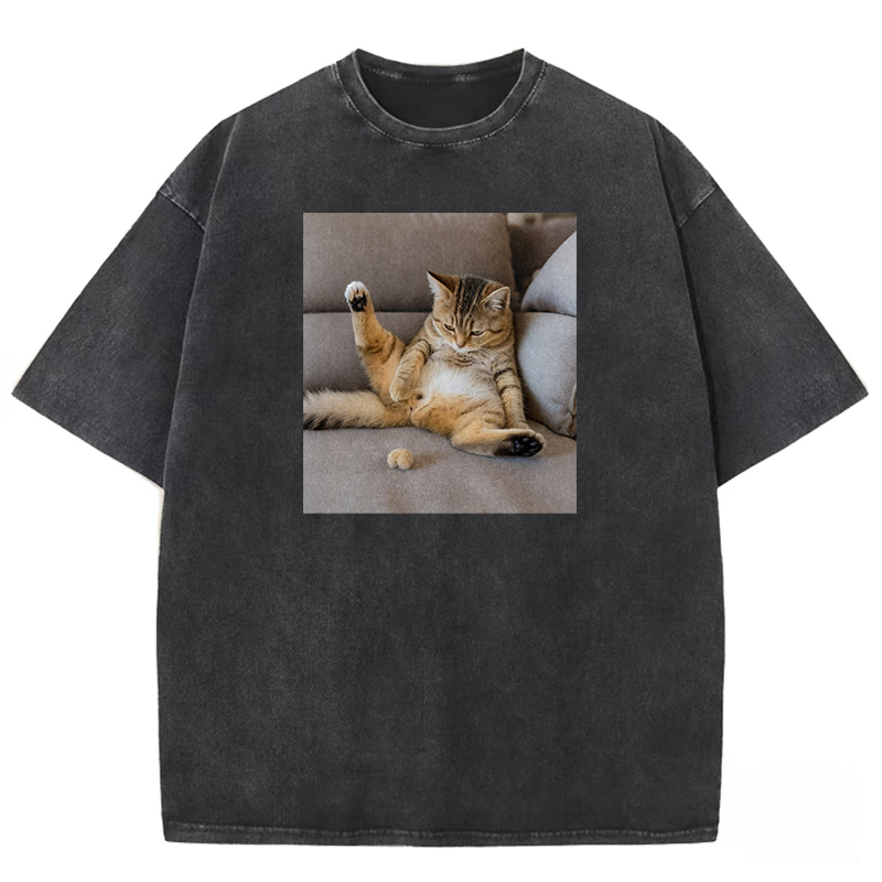 The Lost Testicles Washed T-shirt