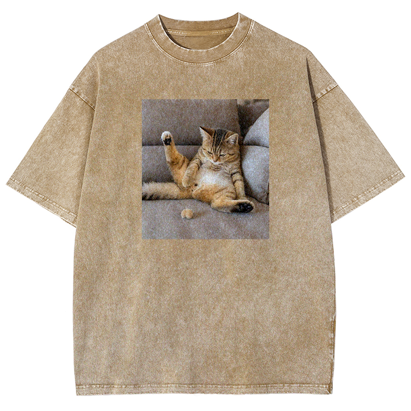 The Lost Testicles Washed T-shirt