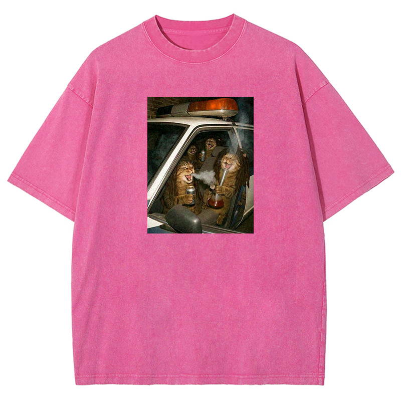 Party Patrol Cats Washed T-shirt