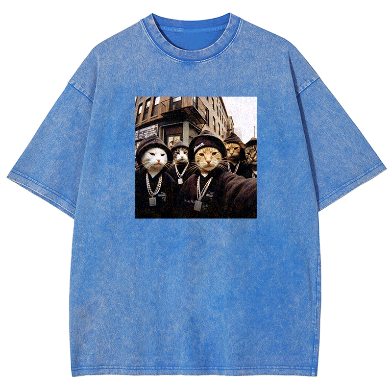 Hip-Hop Purr-crew Washed T-shirt
