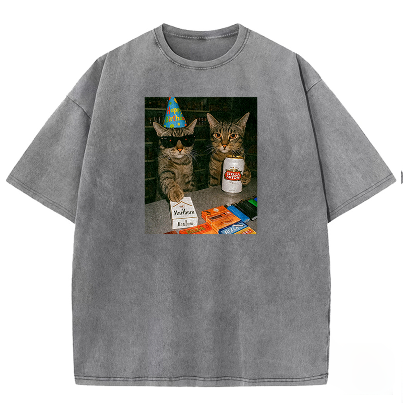 Birthday Buddies Washed T-shirt