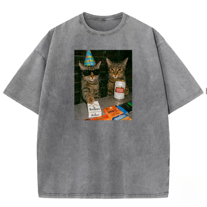 Birthday Buddies Washed T-shirt