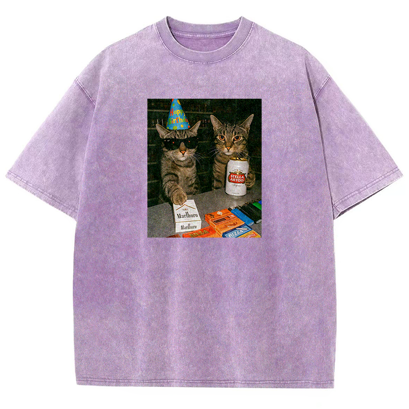 Birthday Buddies Washed T-shirt