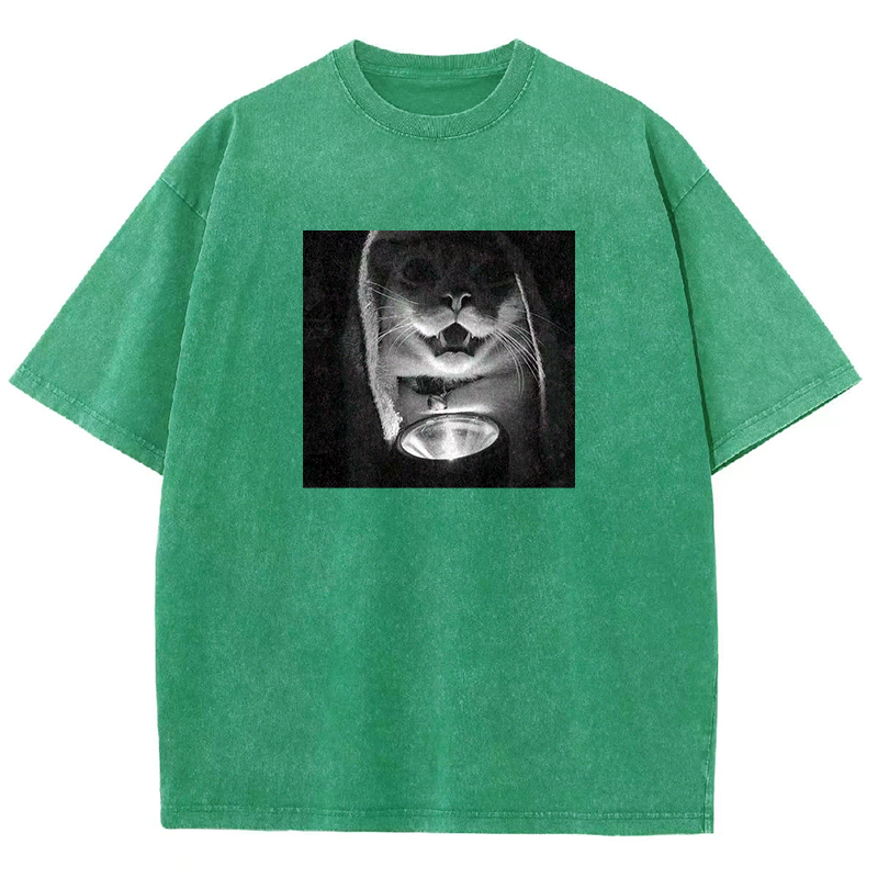 Mystery Lantern Cat Washed T-shirt