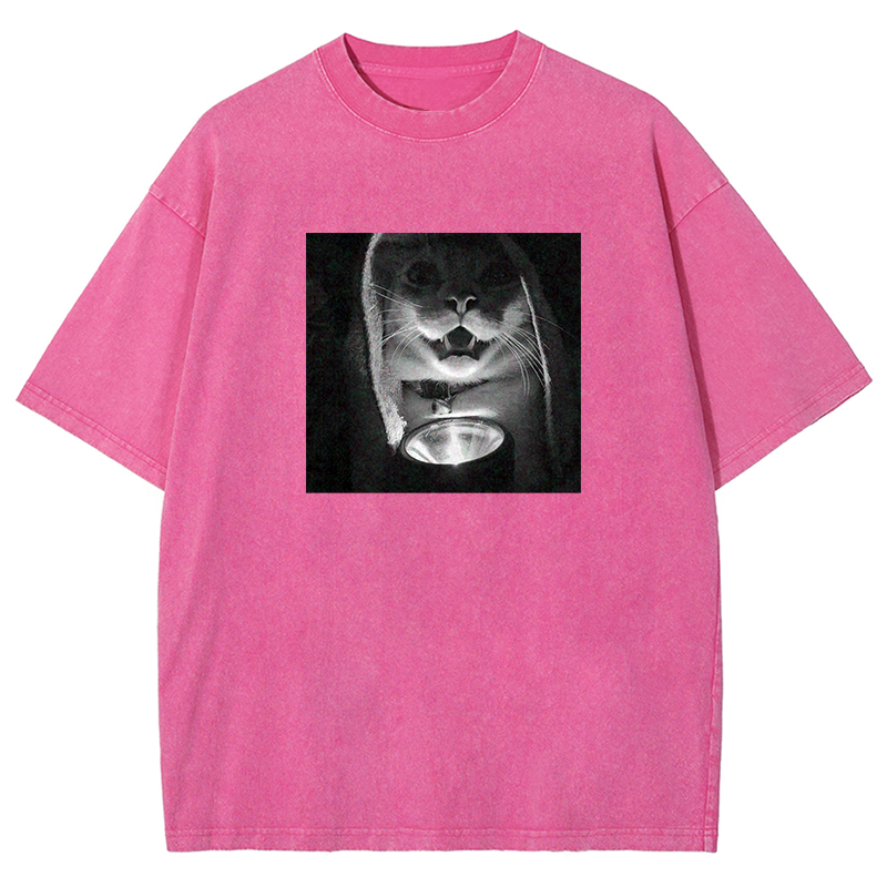 Mystery Lantern Cat Washed T-shirt