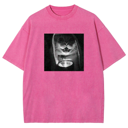 Mystery Lantern Cat Washed T-shirt
