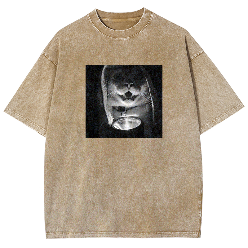 Mystery Lantern Cat Washed T-shirt