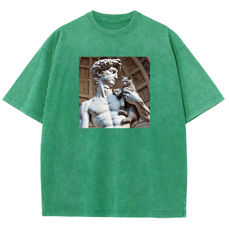 David's Companion Washed T-shirt