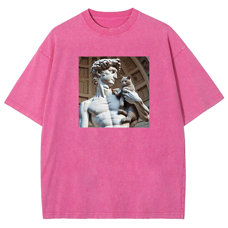 David's Companion Washed T-shirt