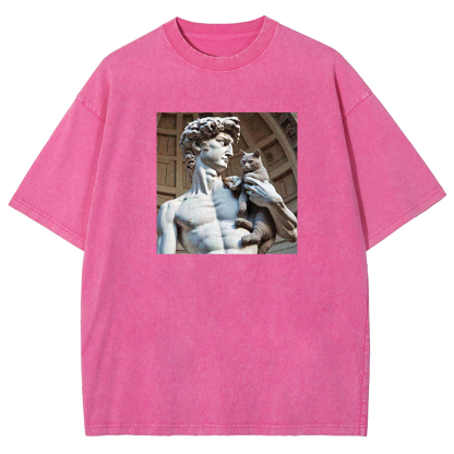 David's Companion Washed T-shirt