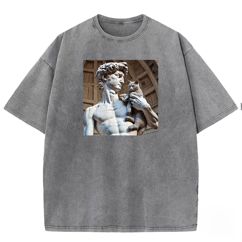 David's Companion Washed T-shirt