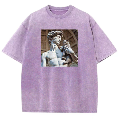 David's Companion Washed T-shirt