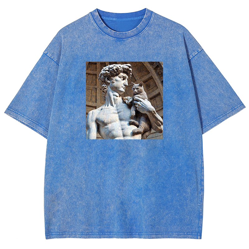 David's Companion Washed T-shirt