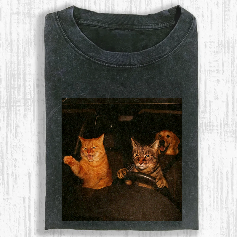 Road Rage Kitties Washed T-shirt