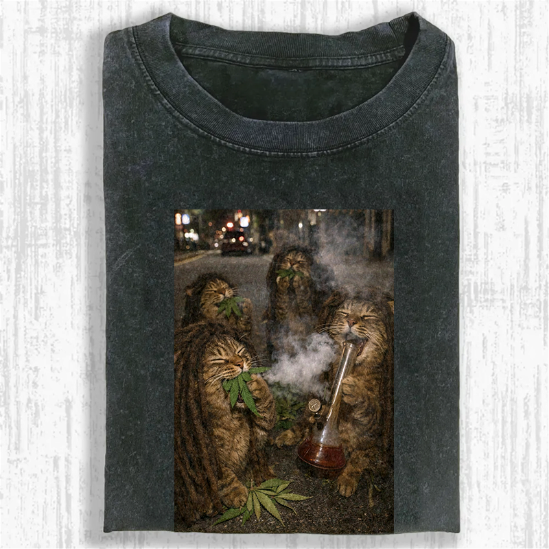 Catnip Dreamers Washed T-shirt