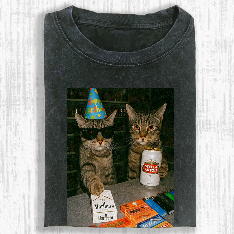 Birthday Buddies Washed T-shirt
