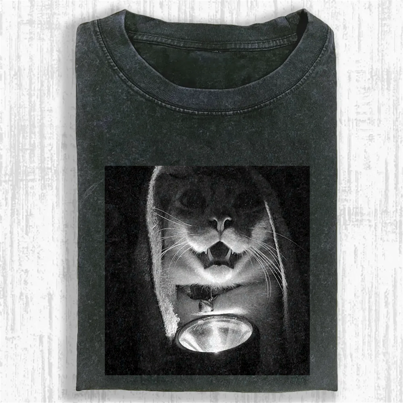 Mystery Lantern Cat Washed T-shirt
