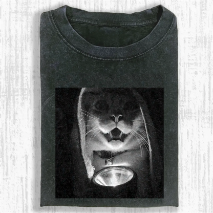 Mystery Lantern Cat Washed T-shirt