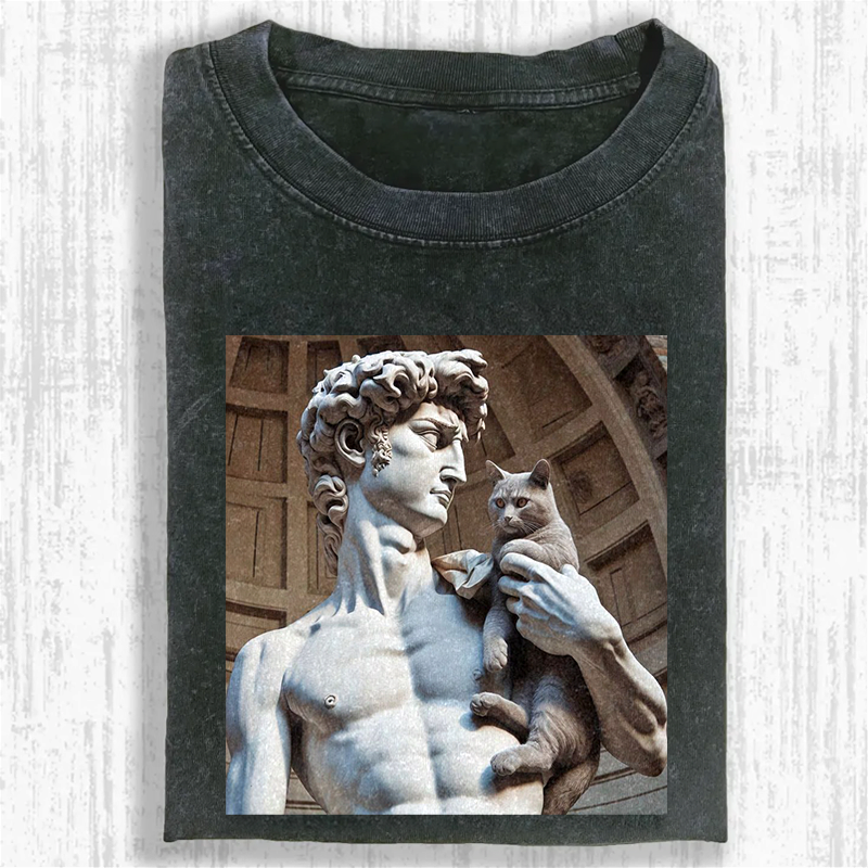 David's Companion Washed T-shirt